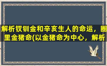 解析钗钏金和辛亥生人的命运，圈里金猪命(以金猪命为中心，解析《钗钏金》和《辛亥生人》命运)