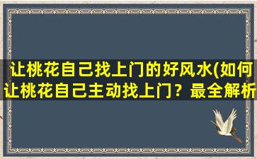 让桃花自己找上门的好风水(如何让桃花自己主动找上门？最全解析风水布局！)