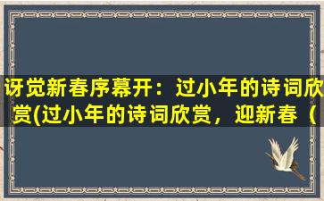 讶觉新春序幕开：过小年的诗词欣赏(过小年的诗词欣赏，迎新春（29个汉字）)