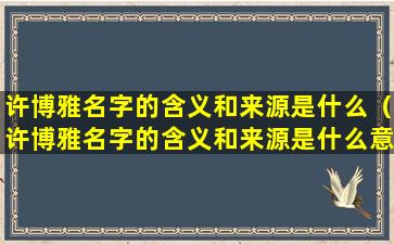 许博雅名字的含义和来源是什么（许博雅名字的含义和来源是什么意思）