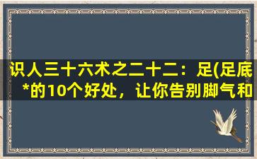 识人三十六术之二十二：足(足底*的10个好处，让你告别脚气和疲劳！)