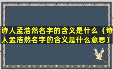 诗人孟浩然名字的含义是什么（诗人孟浩然名字的含义是什么意思）