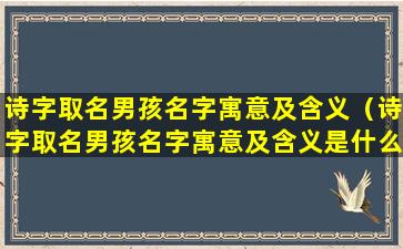 诗字取名男孩名字寓意及含义（诗字取名男孩名字寓意及含义是什么）