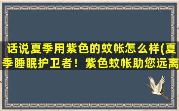 话说夏季用紫色的蚊帐怎么样(夏季睡眠护卫者！紫色蚊帐助您远离蚊虫叮咬)