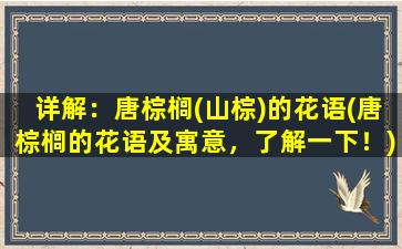 详解：唐棕榈(山棕)的花语(唐棕榈的花语及寓意，了解一下！)