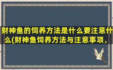 财神鱼的饲养方法是什么要注意什么(财神鱼饲养方法与注意事项，让你的爱宠健康成长)