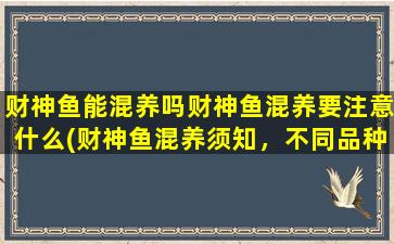 财神鱼能混养吗财神鱼混养要注意什么(财神鱼混养须知，不同品种如何相处？)