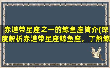 赤道带星座之一的鲸鱼座简介(深度解析赤道带星座鲸鱼座，了解鲸鱼座的神话传说和特点)