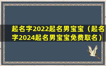 起名字2022起名男宝宝（起名字2024起名男宝宝免费取名）