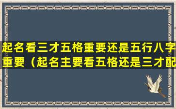 起名看三才五格重要还是五行八字重要（起名主要看五格还是三才配置哪个更重要）