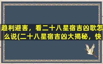 趋利避害，看二十八星宿吉凶歌怎么说(二十八星宿吉凶大揭秘，快来了解自己的运势吧！)