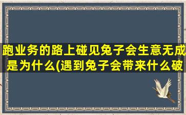 跑业务的路上碰见兔子会生意无成是为什么(遇到兔子会带来什么破财风水，跑业务的人必看！)