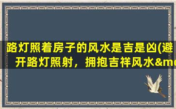 路灯照着房子的风水是吉是凶(避开路灯照射，拥抱吉祥风水——房屋风水知识大揭秘！)