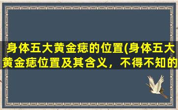 身体五大黄金痣的位置(身体五大黄金痣位置及其含义，不得不知的健康小常识)