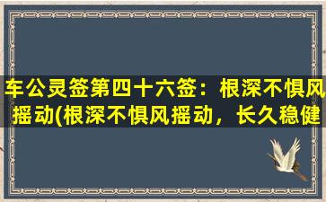 车公灵签第四十六签：根深不惧风摇动(根深不惧风摇动，长久稳健的SEO优化技巧)