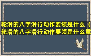 轮滑的八字滑行动作要领是什么（轮滑的八字滑行动作要领是什么意思）