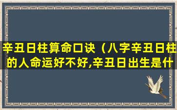 辛丑日柱算命口诀（八字辛丑日柱的人命运好不好,辛丑日出生是什么命）