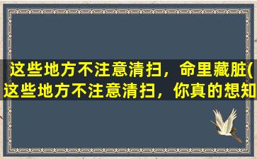 这些地方不注意清扫，命里藏脏(这些地方不注意清扫，你真的想知道吗？！)