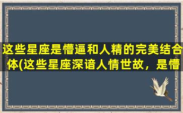 这些星座是懵逼和人精的完美结合体(这些星座深谙人情世故，是懵懂和精明的完美组合！)