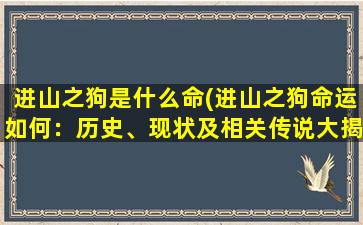 进山之狗是什么命(进山之狗命运如何：历史、现状及相关传说大揭秘)