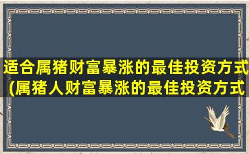 适合属猪财富暴涨的最佳投资方式(属猪人财富暴涨的最佳投资方式是什么？)