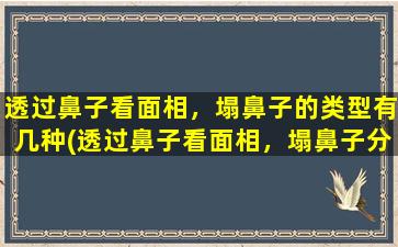 透过鼻子看面相，塌鼻子的类型有几种(透过鼻子看面相，塌鼻子分几种类型？汇总解析！)