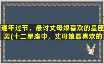 逢年过节，最讨丈母娘喜欢的星座男(十二星座中，丈母娘最喜欢的男生性格特点大揭秘)