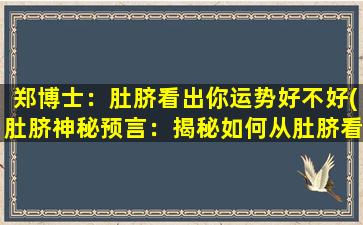 郑博士：肚脐看出你运势好不好(肚脐神秘预言：揭秘如何从肚脐看出你的运势好坏)