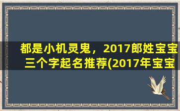 都是小机灵鬼，2017郎姓宝宝三个字起名推荐(2017年宝宝起名推荐：郎姓小机灵鬼名字大全)