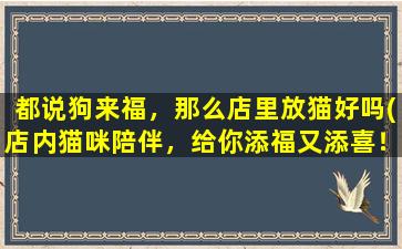 都说狗来福，那么店里放猫好吗(店内猫咪陪伴，给你添福又添喜！)