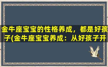 金牛座宝宝的性格养成，都是好孩子(金牛座宝宝养成：从好孩子开始)