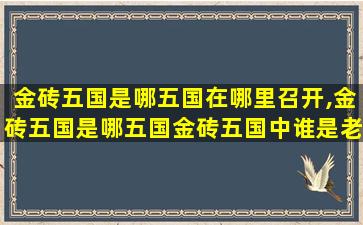 金砖五国是哪五国在哪里召开,金砖五国是哪五国金砖五国中谁是老大