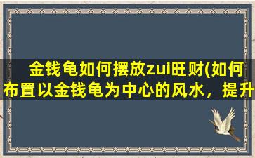 金钱龟如何摆放zui旺财(如何布置以金钱龟为中心的风水，提升财运)