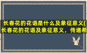 长春花的花语是什么及象征意义(长春花的花语及象征意义，传递希望和勇气)