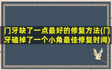 门牙缺了一点最好的修复方法(门牙磕掉了一个小角最佳修复时间)