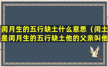 闰月生的五行缺土什么意思（闰土是闰月生的五行缺土他的父亲叫他闰土）