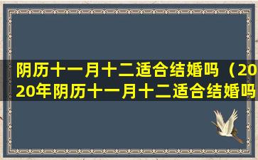 阴历十一月十二适合结婚吗（2020年阴历十一月十二适合结婚吗）