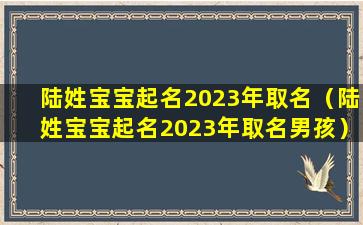 陆姓宝宝起名2023年取名（陆姓宝宝起名2023年取名男孩）