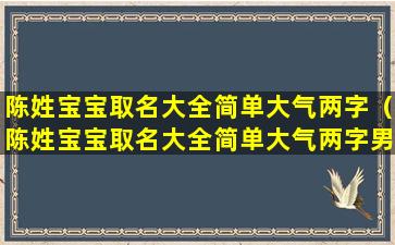 陈姓宝宝取名大全简单大气两字（陈姓宝宝取名大全简单大气两字男孩）