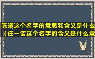 陈曦这个名字的意思和含义是什么（任一诺这个名字的含义是什么意思啊）