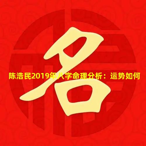 陈浩民2019年八字命理分析：运势如何