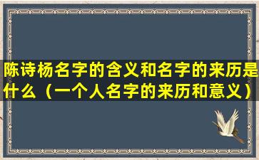 陈诗杨名字的含义和名字的来历是什么（一个人名字的来历和意义）