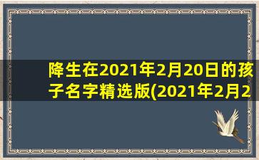 降生在2021年2月20日的孩子名字精选版(2021年2月20日降生宝宝名字推荐大全)