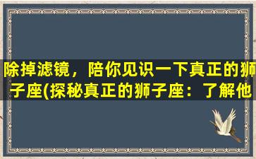 除掉滤镜，陪你见识一下真正的狮子座(探秘真正的狮子座：了解他们的性格特点和行为方式)