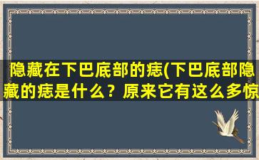 隐藏在下巴底部的痣(下巴底部隐藏的痣是什么？原来它有这么多惊人的作用！)