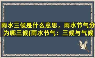 雨水三候是什么意思，雨水节气分为哪三候(雨水节气：三候与气候特点，解读雨水节气的24节气之一)