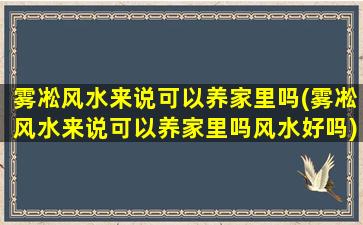 雾凇风水来说可以养家里吗(雾凇风水来说可以养家里吗风水好吗)