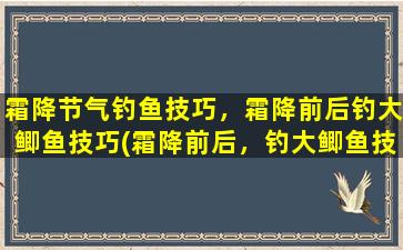 霜降节气钓鱼技巧，霜降前后钓大鲫鱼技巧(霜降前后，钓大鲫鱼技巧大揭秘！)