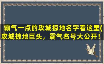 霸气一点的攻城掠地名字看这里(攻城掠地巨头，霸气名号大公开！)