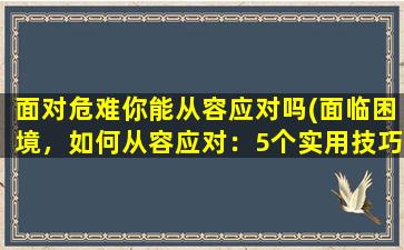 面对危难你能从容应对吗(面临困境，如何从容应对：5个实用技巧)